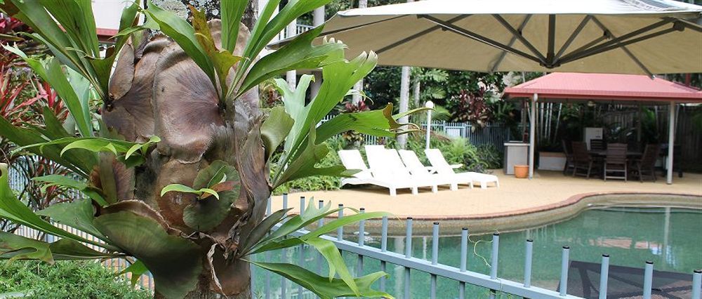 Cairns Reef Apartments & Motel מראה חיצוני תמונה